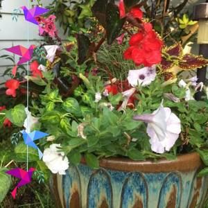 Meet your Posher, Missy